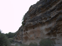 Rambla Perea-Mula 2018